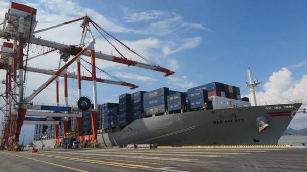 Chuyện khó tin: Xuất khẩu nông sản Việt giảm hơn một nửa vì thiếu... container